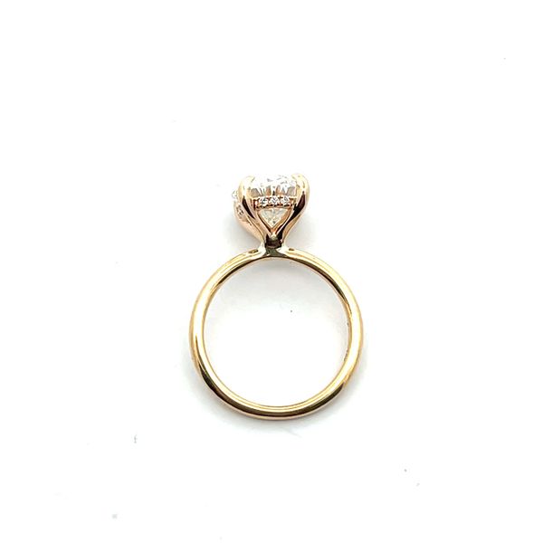 Hidden Halo Engagement Ring Image 2 The Ring Austin Round Rock, TX