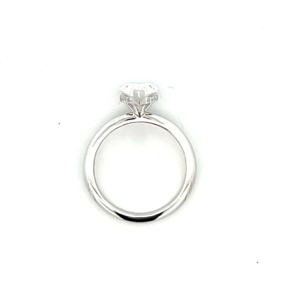 Hidden Halo Engagement Ring Image 2 The Ring Austin Round Rock, TX