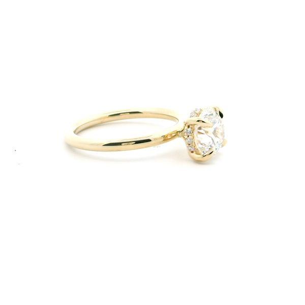 Hidden Halo Engagement Ring Image 2 The Ring Austin Round Rock, TX