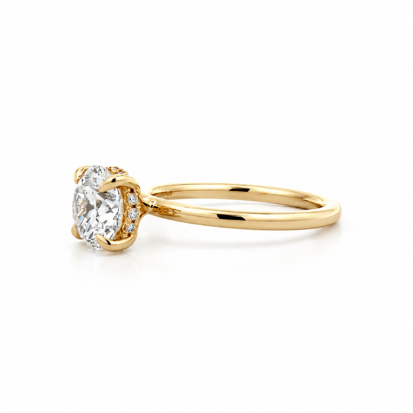 14K Yellow Gold Hidden Halo Ring Image 2 The Ring Austin Round Rock, TX