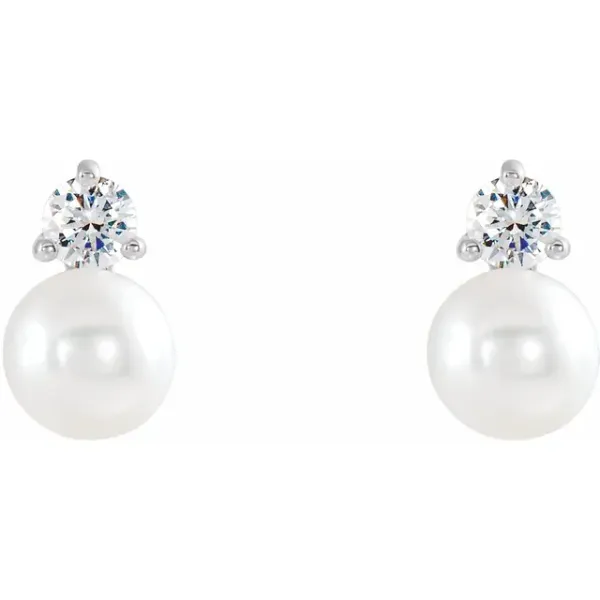 14K White Gold Stud Earrings Image 2 The Ring Austin Round Rock, TX