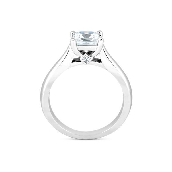 Peek-a-boo Diamond Engagement Ring Image 3 The Ring Austin Round Rock, TX