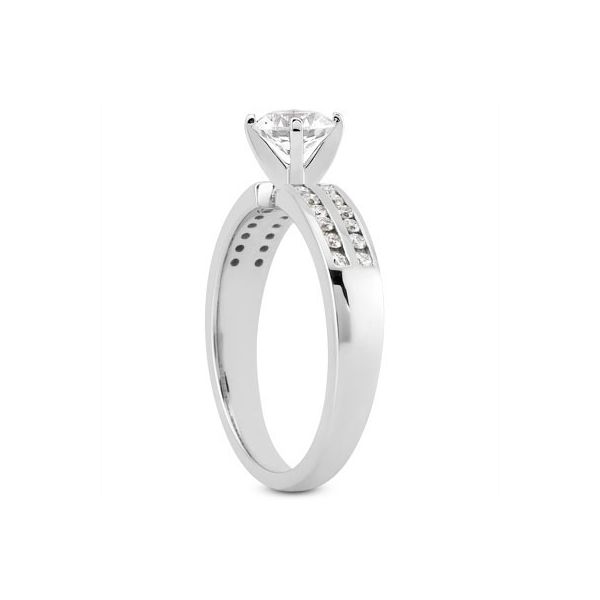 Two Row Channel Set Engagement Ring Image 2 The Ring Austin Round Rock, TX
