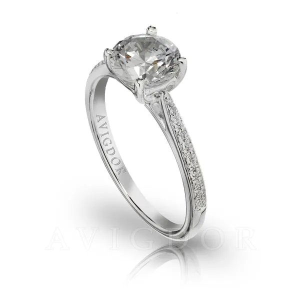 14k White Gold Diamond Engagement Ring The Ring Austin Round Rock, TX