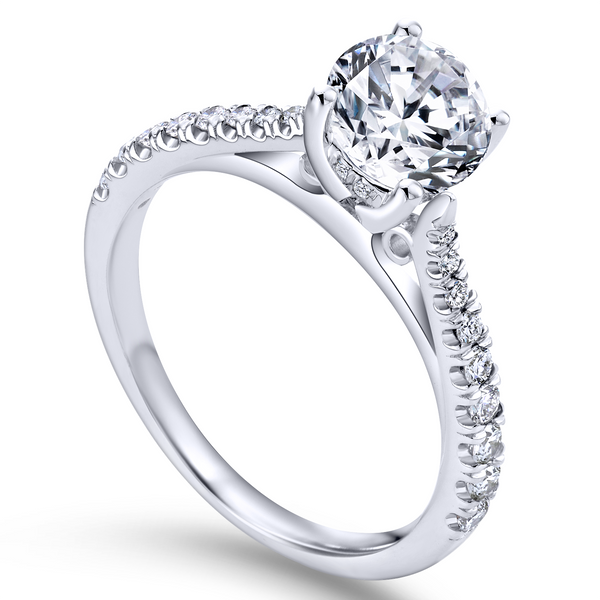 14k White Gold Round Straight Diamond Engagement Ring The Ring Austin Round Rock, TX