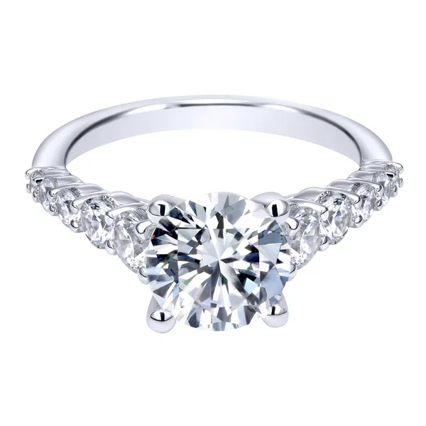 14k White Gold Round Straight Diamond Engagement Ring Image 2 The Ring Austin Round Rock, TX