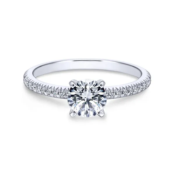 14k White Gold Round Straight Diamond Engagement Ring Image 2 The Ring Austin Round Rock, TX