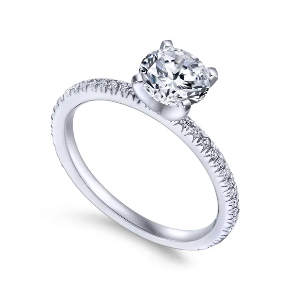 14k White Gold Round Straight Diamond Engagement Ring The Ring Austin Round Rock, TX