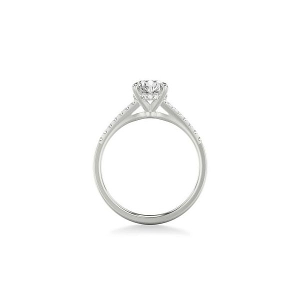 1/6CTW 14K WG Cathedral Hidden Halo Diamond Engagement Ring Image 2 The Ring Austin Round Rock, TX