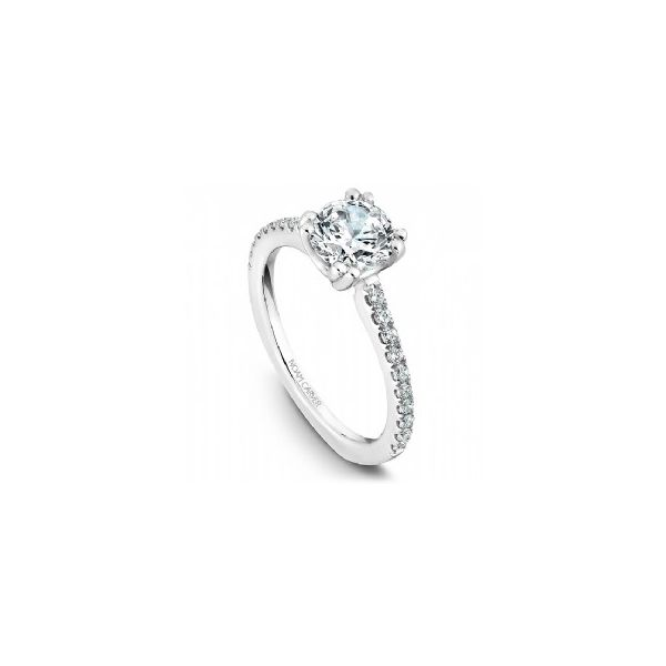 1/4CTW 14K WG Mined Diamond, Euro shank,Split Prong Engagement Ring The Ring Austin Round Rock, TX