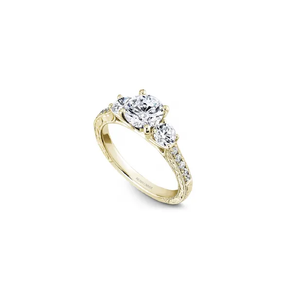 5/8CTW 14K WG Mined Diamond Three Stone with Diamond Shank Engagement Ring The Ring Austin Round Rock, TX
