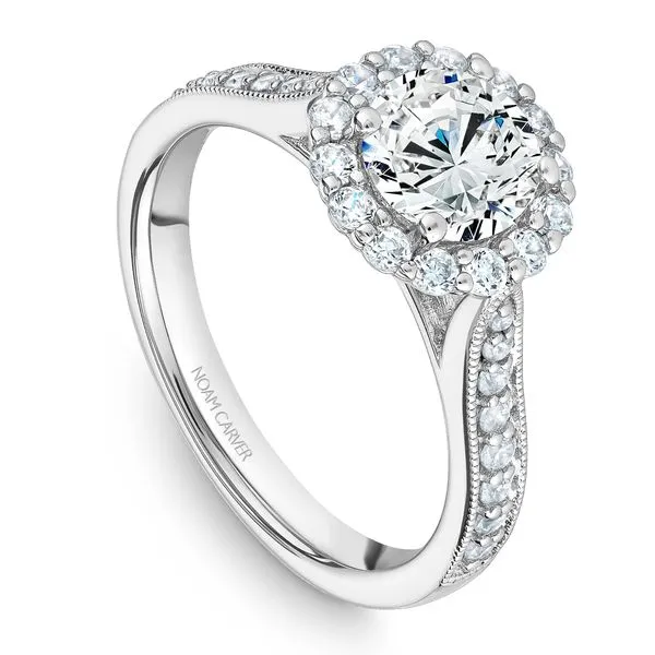 1/2CTW 14K WG Mined Diamond Round Halo With Diamond & Mil grain Shank Engagement Ring The Ring Austin Round Rock, TX