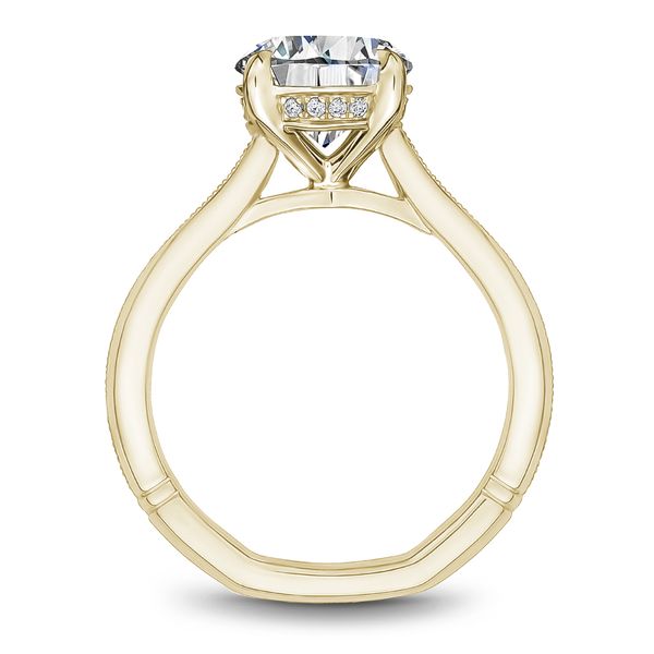 Hidden Halo Engagement Ring Image 3 The Ring Austin Round Rock, TX