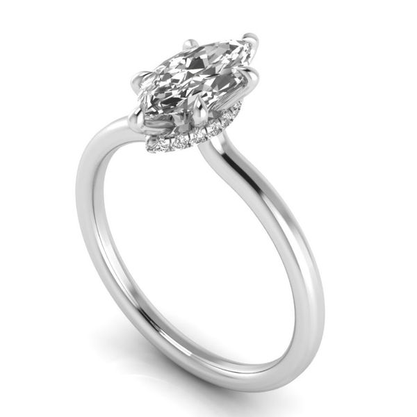 1/10CTW 14K WG Mined diamond solitaire with Hidden Halo Engagement Ring The Ring Austin Round Rock, TX