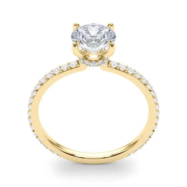 1/3CTW 14K Yellow Gold Mined Diamond Engagement Ring with Hidden Halo Image 5 The Ring Austin Round Rock, TX