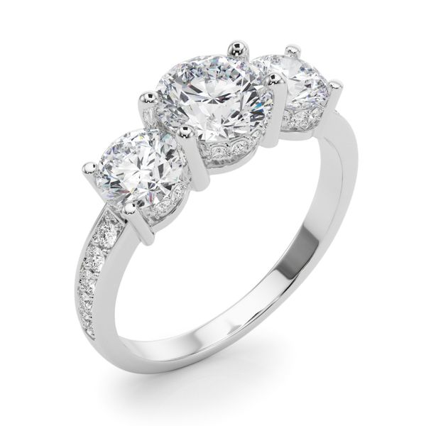 1 1/4CTW 14K WG 3 Stone Round Mined Diamond Hidden Halo Engagement Ring Image 4 The Ring Austin Round Rock, TX