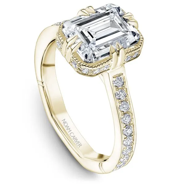 3/8CTW 14K YG Mined Diamond, Euro Shank, Channel Set with Outward Facing Hidden Halo and Mil Grain Accents Engagement Ring The Ring Austin Round Rock, TX