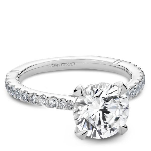 3/8CTW 14K WG Mined Diamond With Hidden Halo Cathedral Euro Shank Engagement Ring Image 3 The Ring Austin Round Rock, TX