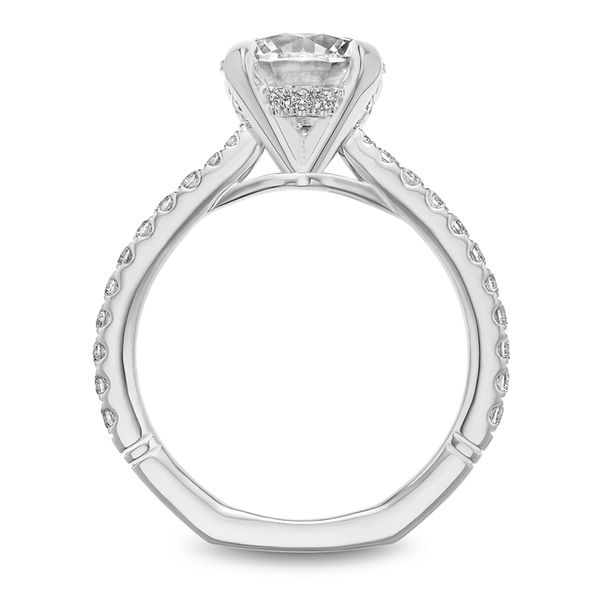 3/8CTW 14K WG Mined Diamond With Hidden Halo Cathedral Euro Shank Engagement Ring Image 4 The Ring Austin Round Rock, TX