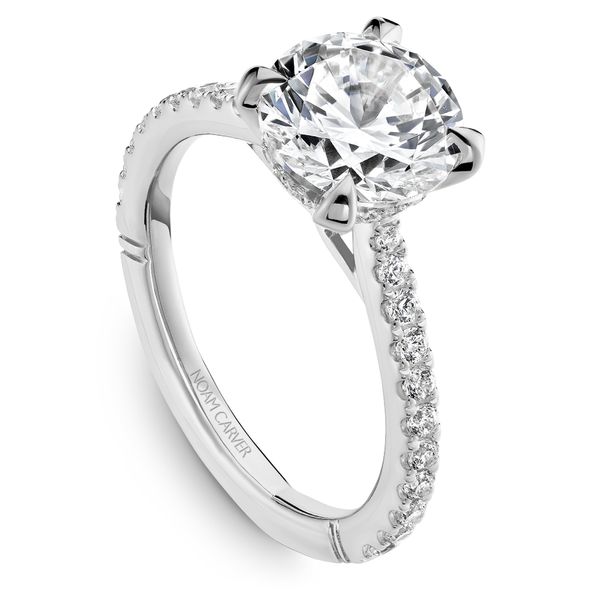 3/8CTW 14K WG Mined Diamond With Hidden Halo Cathedral Euro Shank Engagement Ring The Ring Austin Round Rock, TX