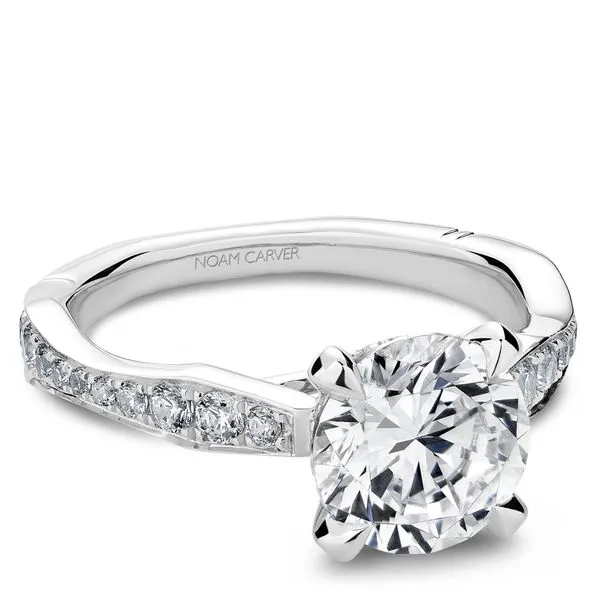 1/2CTW 14K WG Mined Diamond Cathedral Hidden Halo With Ascending And Descending Diamonds Euro Shank Engagement Ring Image 3 The Ring Austin Round Rock, TX
