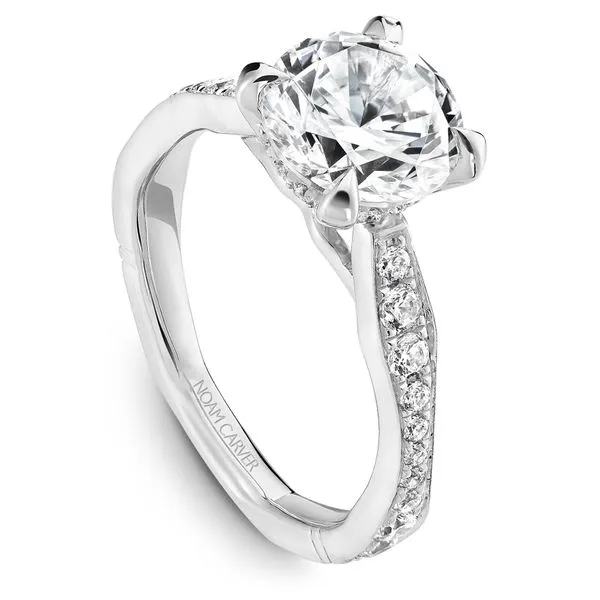 1/2CTW 14K WG Mined Diamond Cathedral Hidden Halo With Ascending And Descending Diamonds Euro Shank Engagement Ring The Ring Austin Round Rock, TX