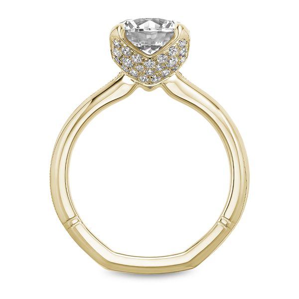 Diamond Semi-Mount Engagement Ring Noam Carver Image 2 The Ring Austin Round Rock, TX