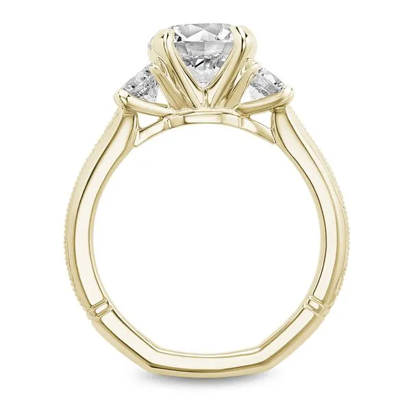 1/2CTW 14KT YG Mined Diamond Round Cut Side Stones With Milgrain Euro Shank Engagement Ring Image 4 The Ring Austin Round Rock, TX