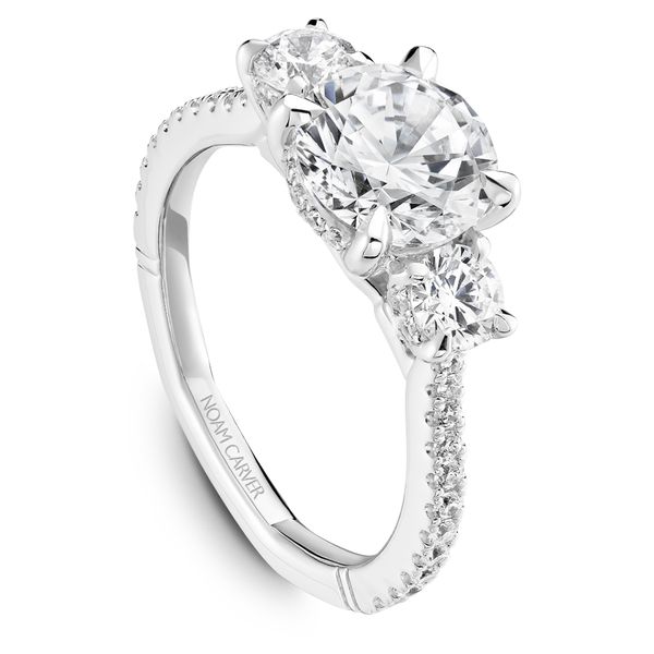3/4CTW 14K WG Mined Diamond Hidden Halo Round Cut Side Stones and Accented Euro Shank Engagement Ring The Ring Austin Round Rock, TX
