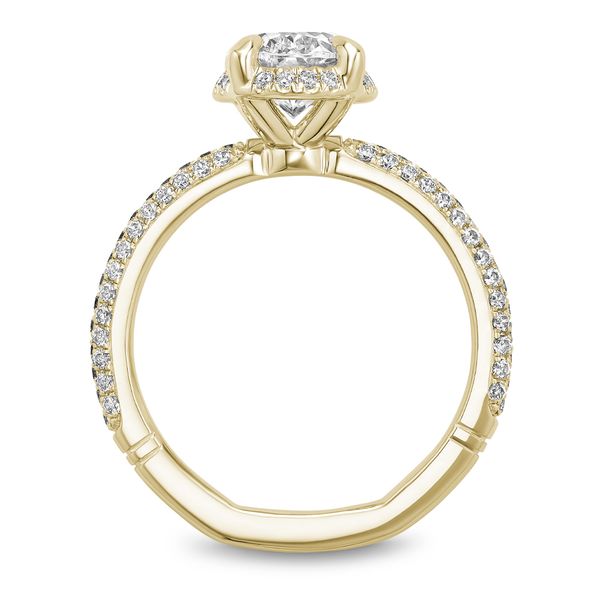 Hidden Halo Engagement Ring Image 4 The Ring Austin Round Rock, TX