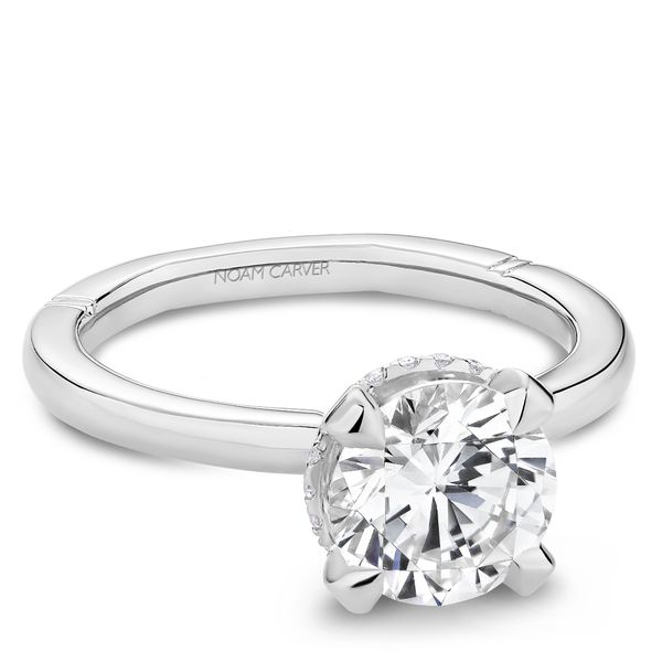 1/10CTW 14KT WG Mined Diamond Hidden Halo Euro Shank Engagement Ring Image 3 The Ring Austin Round Rock, TX