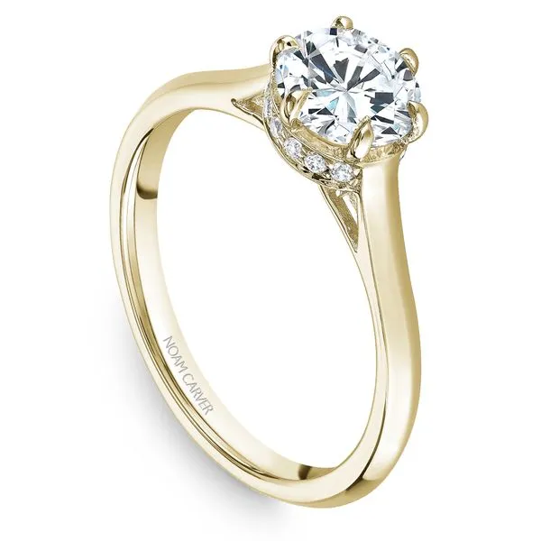1/20CTW 14K YG Mined Diamond Hidden Halo 6 Prong Engagement Ring The Ring Austin Round Rock, TX