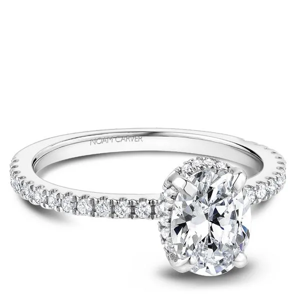 1/4CTW 14K WG Mined Diamond Hidden Halo Engagement Ring Image 2 The Ring Austin Round Rock, TX