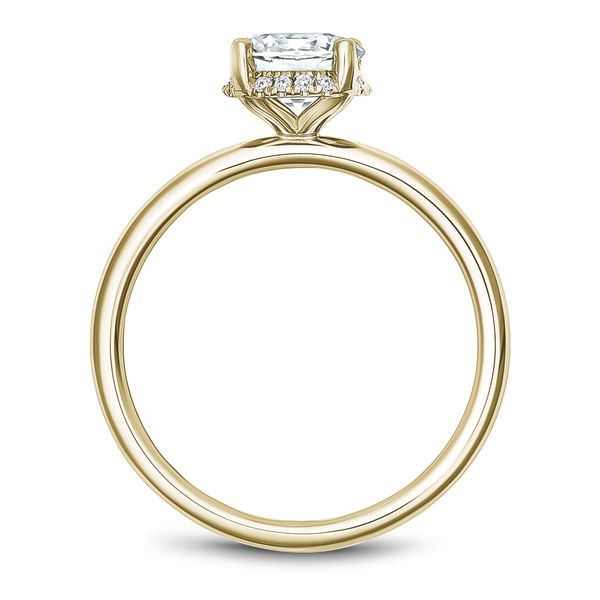 Hidden Halo Engagement Ring Image 2 The Ring Austin Round Rock, TX