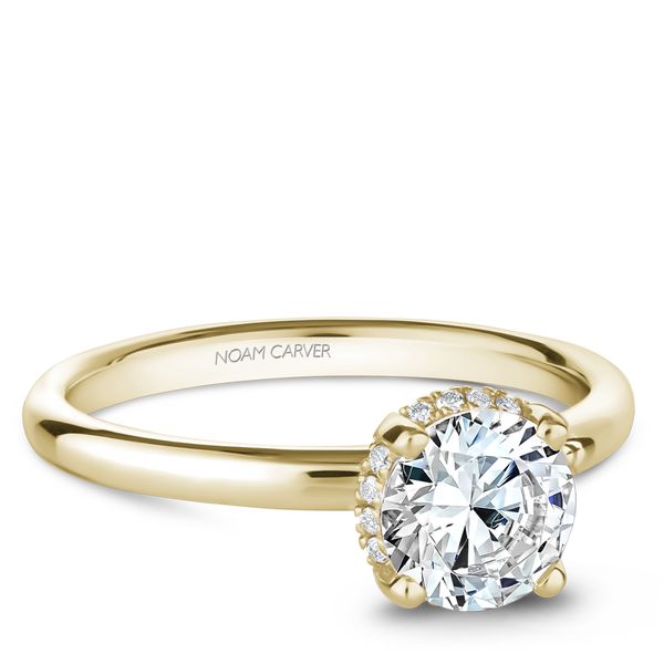 Hidden Halo Engagement Ring Image 3 The Ring Austin Round Rock, TX
