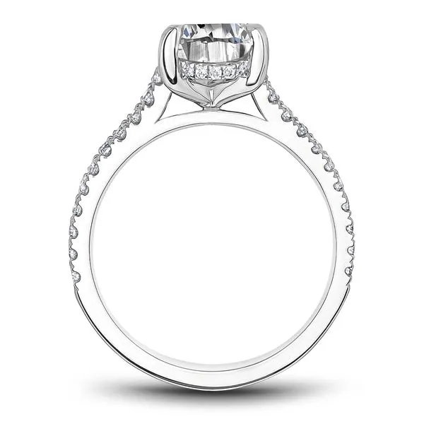 1/3CTW 14K WG Mined Diamond Cathedral Hidden Halo Engagement Ring Image 3 The Ring Austin Round Rock, TX