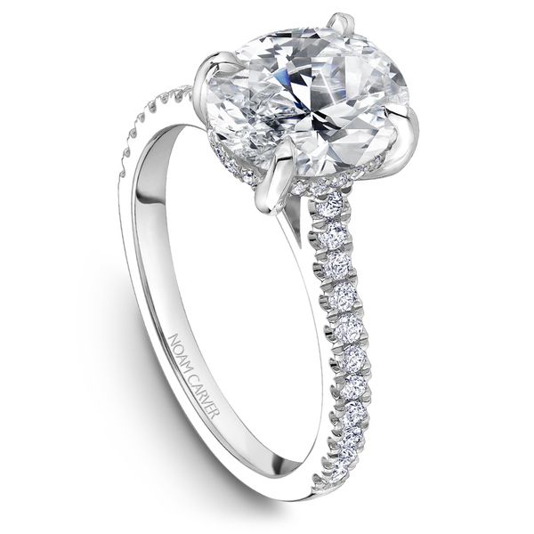1/3CTW 14K WG Mined Diamond Cathedral Hidden Halo Engagement Ring The Ring Austin Round Rock, TX