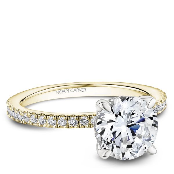 Hidden Halo Engagement Ring Image 2 The Ring Austin Round Rock, TX