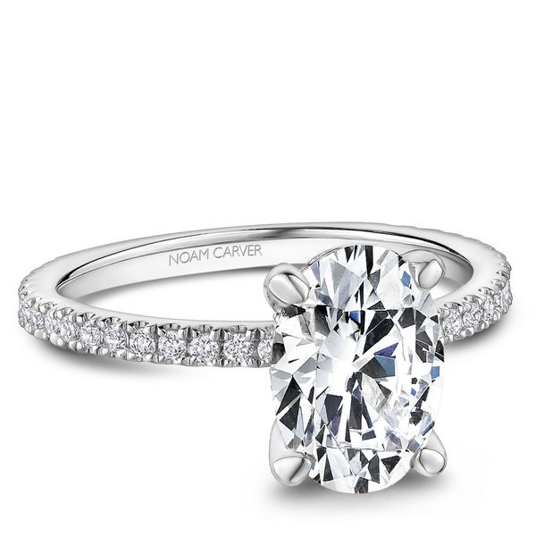 Hidden Halo Engagement Ring Image 2 The Ring Austin Round Rock, TX
