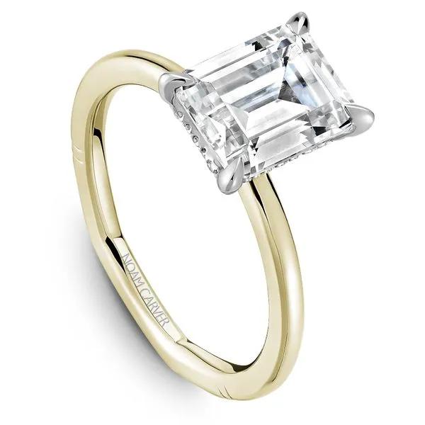 1/20CTW 14K YG Mined Diamond Hidden Halo Euro Shank Engagement Ring The Ring Austin Round Rock, TX