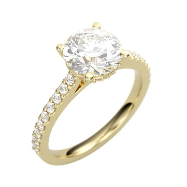 1/3CTW 14K YG Mined Diamond Hidden Halo Engagement Ring The Ring Austin Round Rock, TX