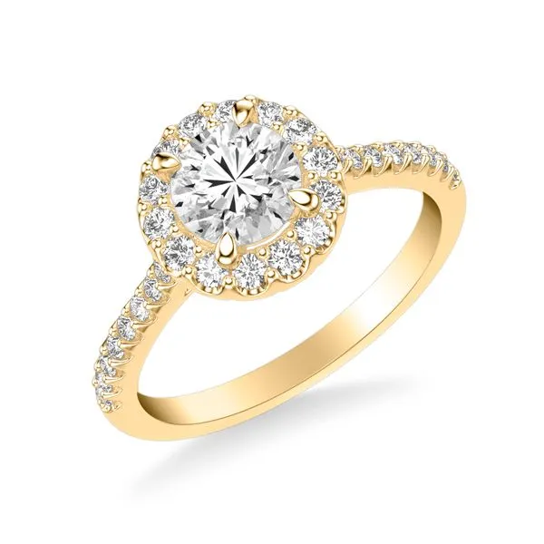 3/8CTW 14K YG Mined Diamond Halo Engagement Ring The Ring Austin Round Rock, TX