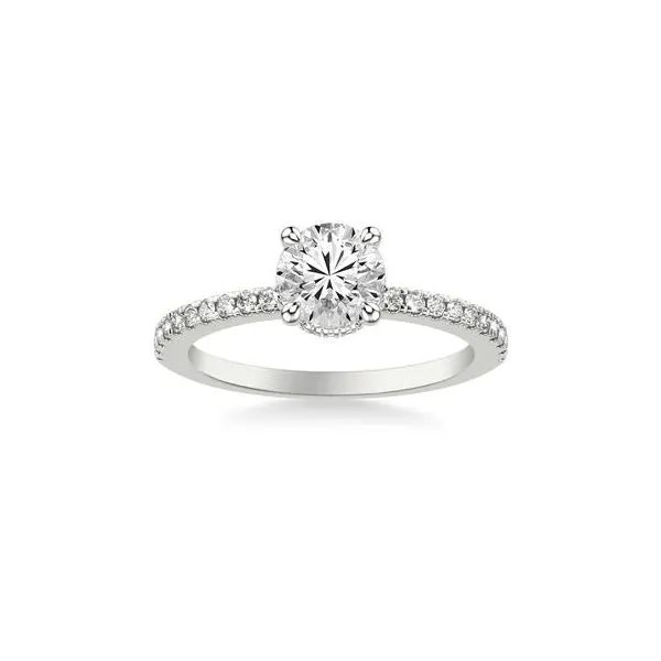 1/4CTW 14K WG mined Diamond Hidden Halo Engagement Ring Image 2 The Ring Austin Round Rock, TX