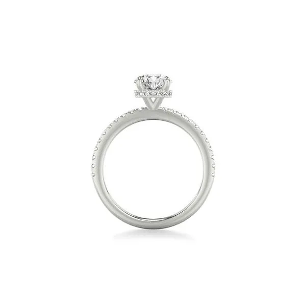 1/4CTW 14K WG mined Diamond Hidden Halo Engagement Ring Image 3 The Ring Austin Round Rock, TX