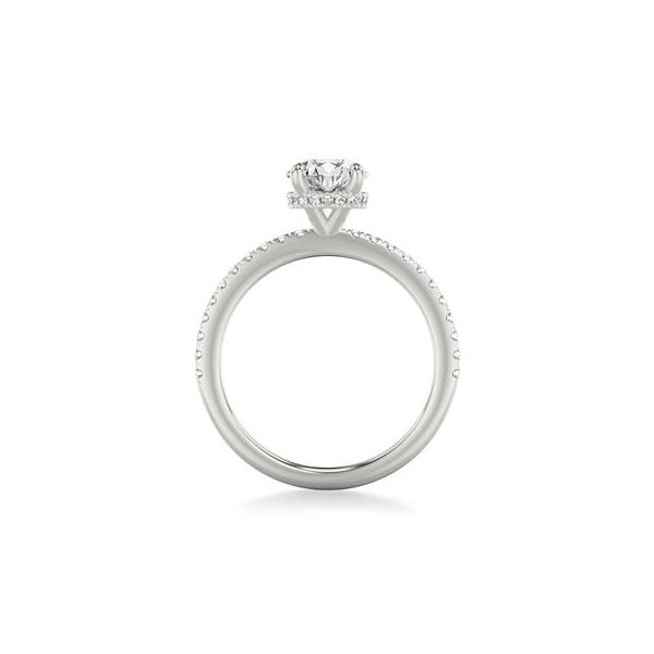 Hidden Halo Engagement Ring Image 3 The Ring Austin Round Rock, TX