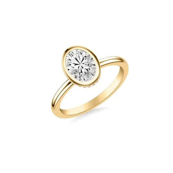 1/10CTW 14K YG Diamond Hidden Halo Bezel Set Engagement Ring The Ring Austin Round Rock, TX