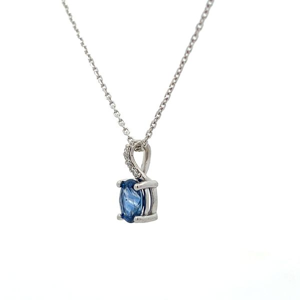Pendant Image 4 The Ring Austin Round Rock, TX