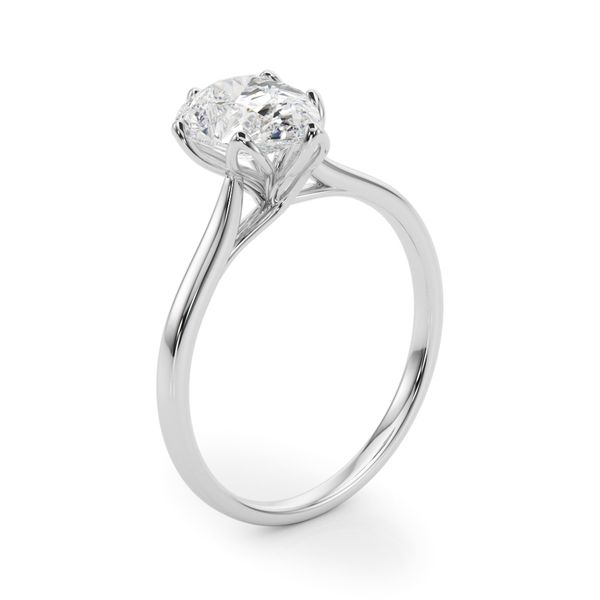 Solitaire Rings Image 4 The Ring Austin Round Rock, TX