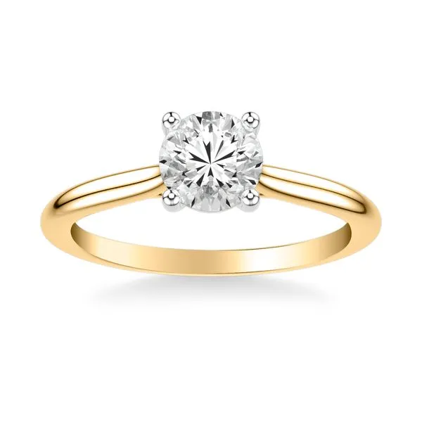 14K YG/WG Cathedral Solitaire 4 Prong Basket Engagement Ring Image 3 The Ring Austin Round Rock, TX