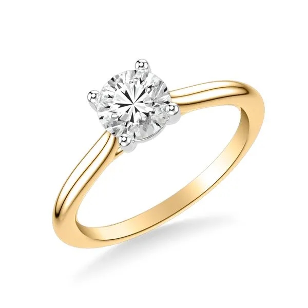14K YG/WG Cathedral Solitaire 4 Prong Basket Engagement Ring The Ring Austin Round Rock, TX